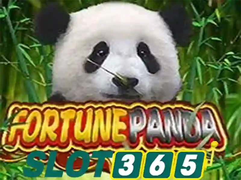 Slot365 là gì?>