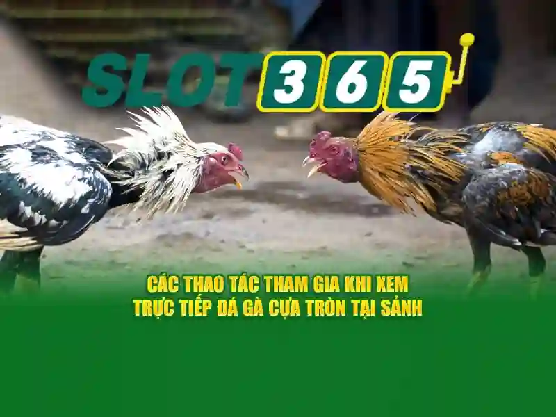 Slot365 là gì?