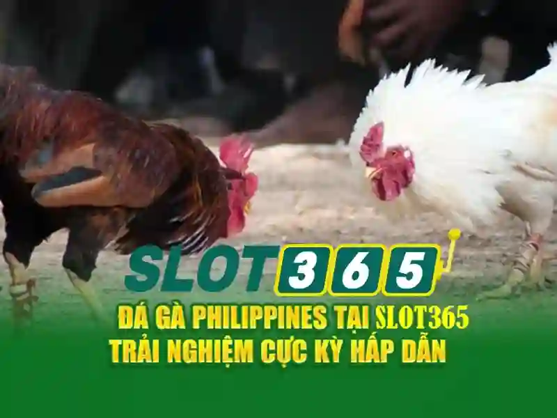 Giao diện nhà cái hoàn hảo