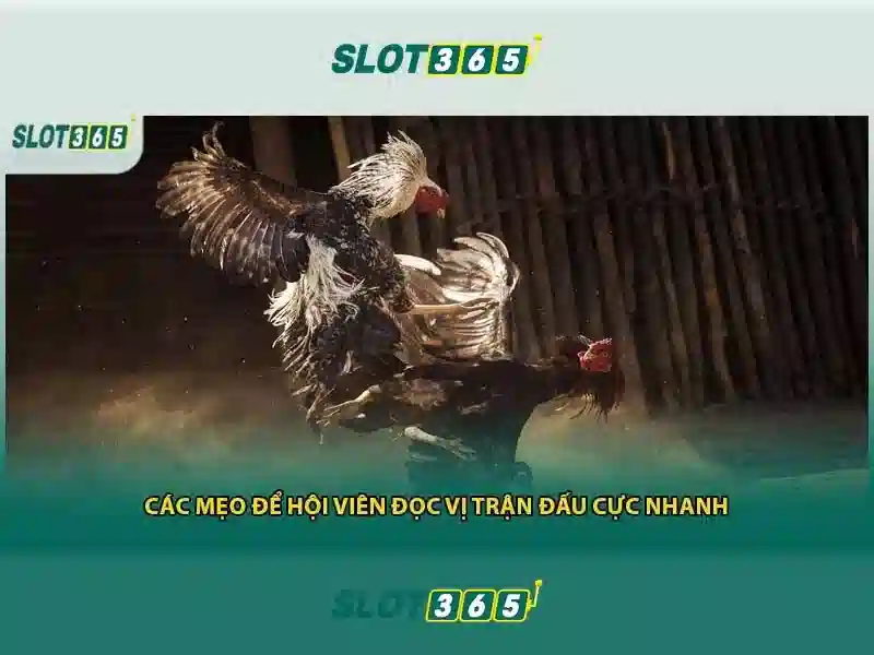 slot365-benefits