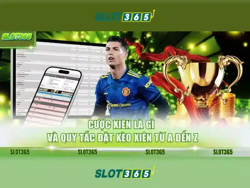 An toàn và pháp lý