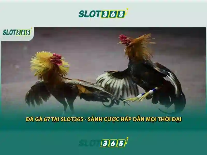 Công nghệ và an toàn