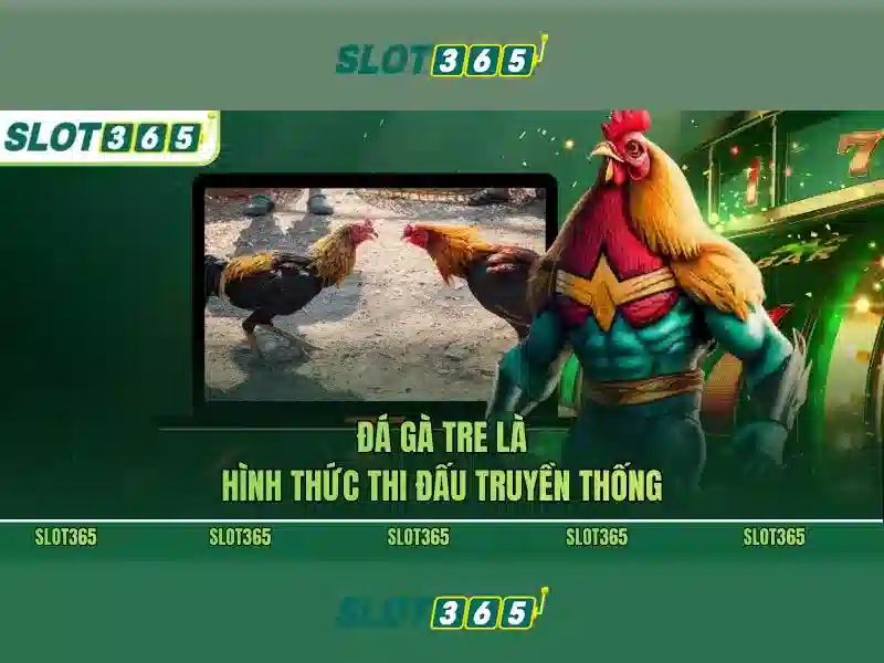 Slot365 – Nền tảng trò chơi xèng trực tuyến
