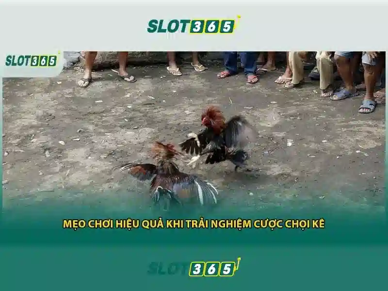 Giao diện nhà cái hoàn hảo