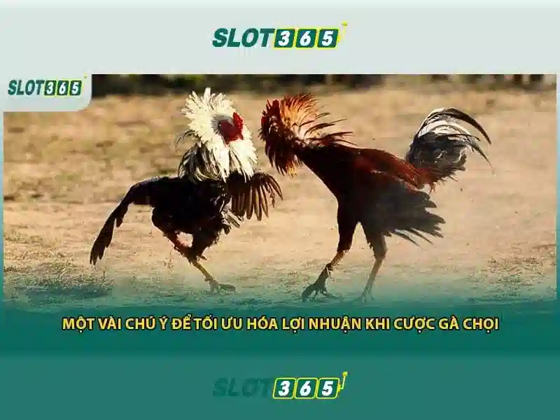 Giới thiệu Slot365