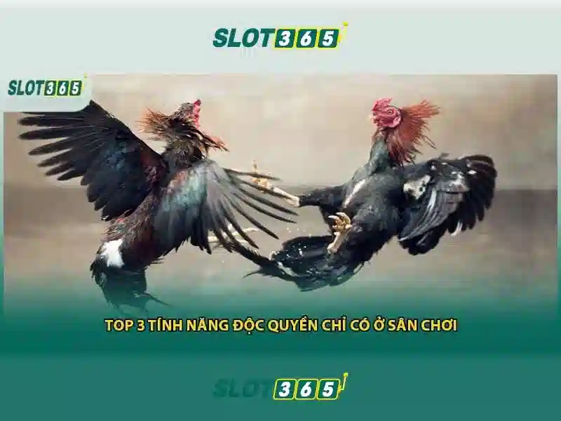 Intro_Slot365