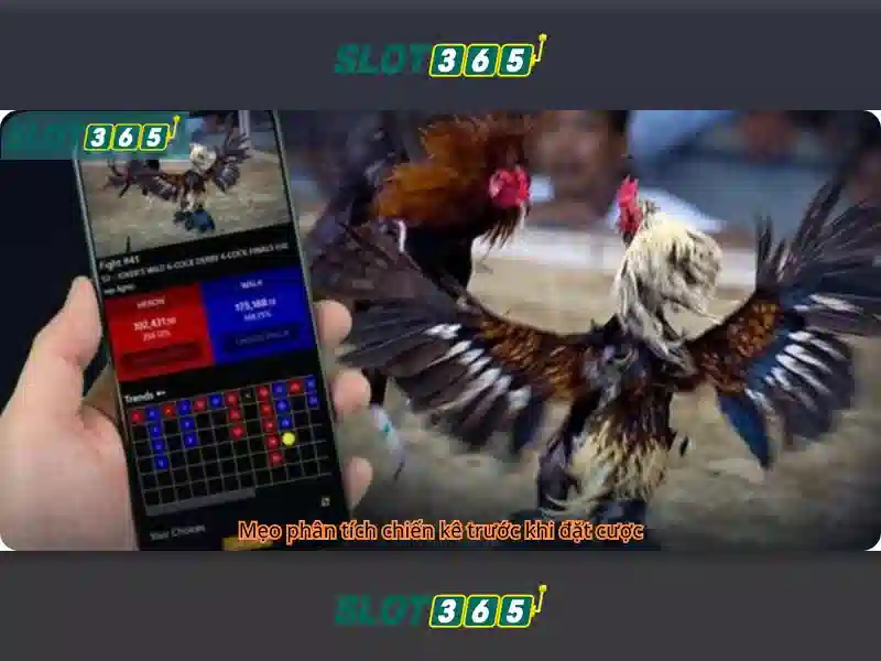 Slot365 là gì?