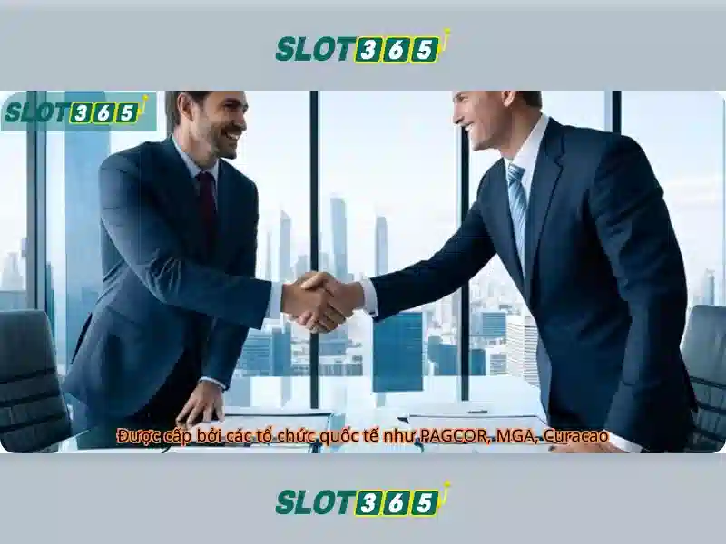 Nền tảng và giao diện người dùng