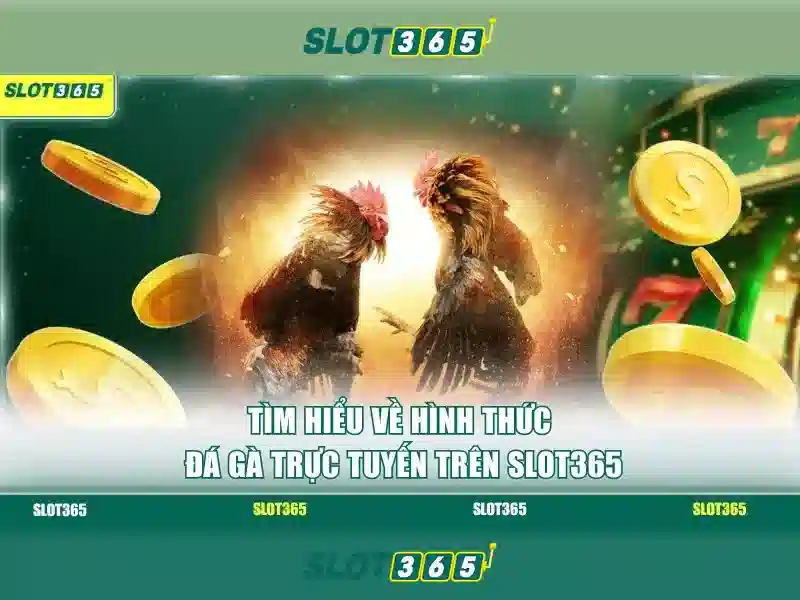 Slot365 - Nền tảng chơi slot trực tuyến an toàn và tin cậy