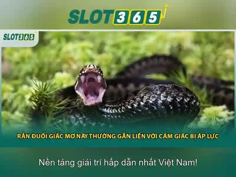 Trải nghiệm người dùng trên Slot365
