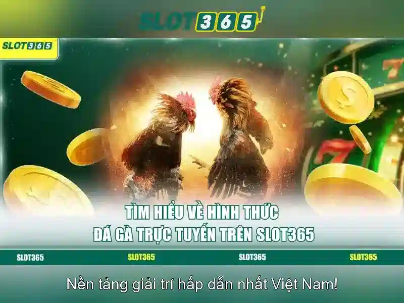 Đặc điểm nổi bật của Slot365