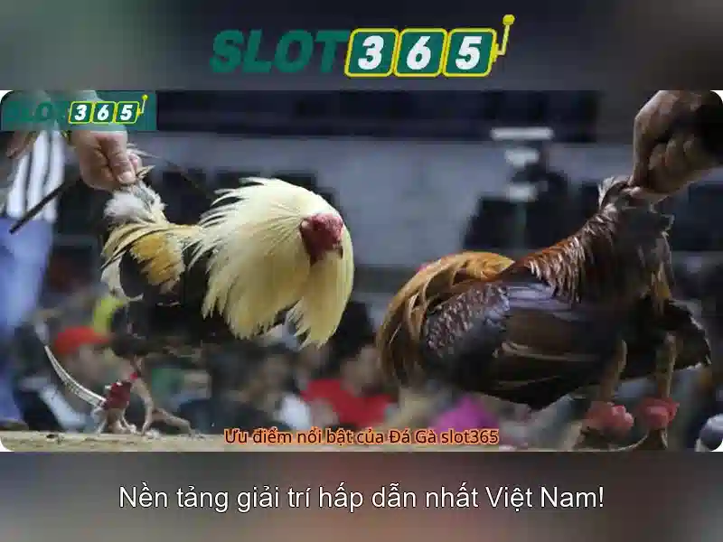 Trải nghiệm người dùng và tương thích thiết bị tại Slot365