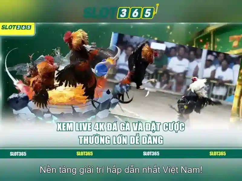 Trò chơi và nhà cung cấp