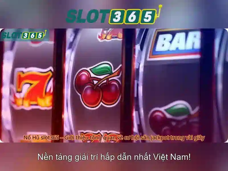 Kết luận