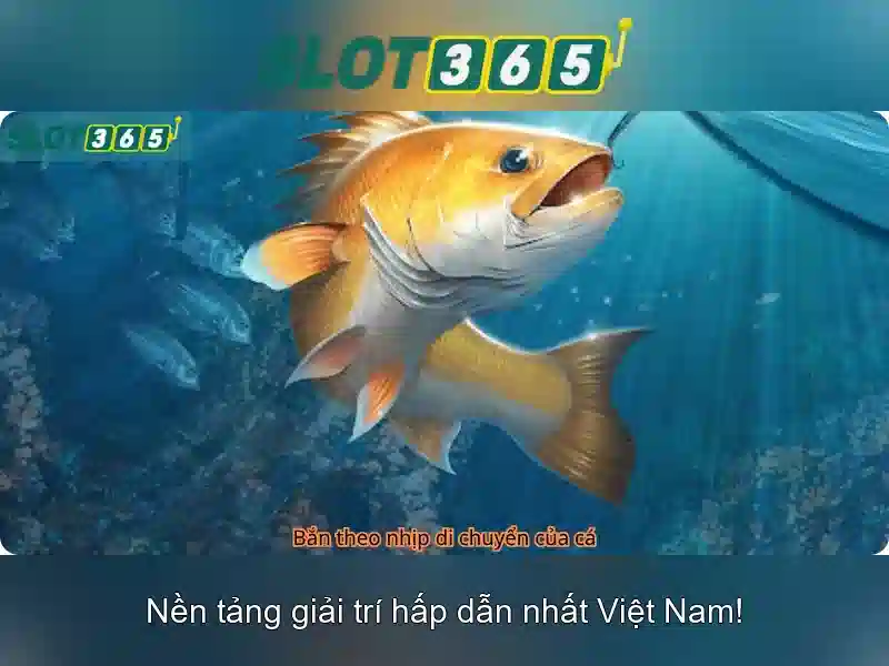 Giao diện nhà cái hoàn hảo