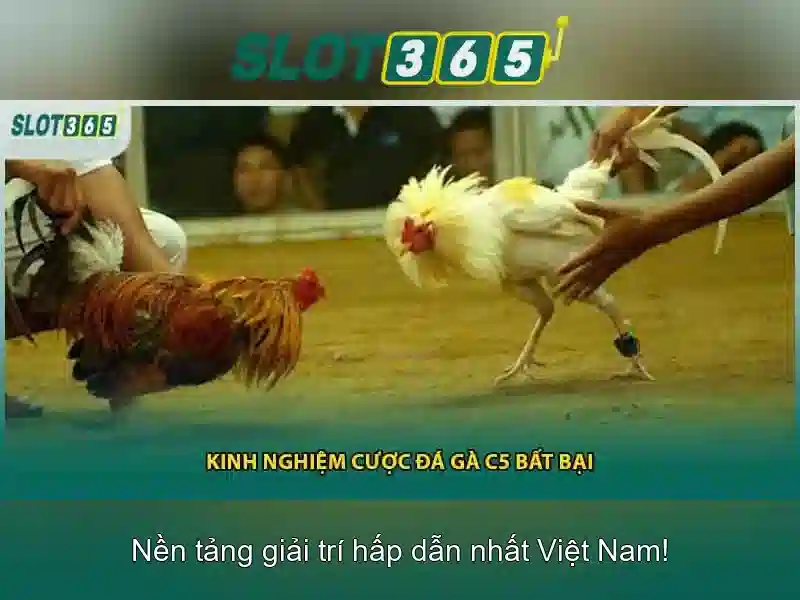 Hỗ_trợ_khách_hàng_slot365