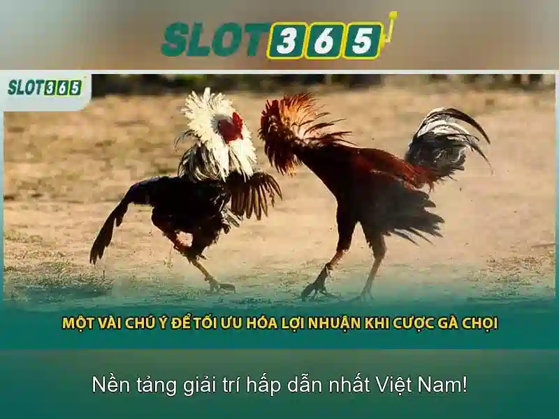 Kênh_liên_hệ_slot365