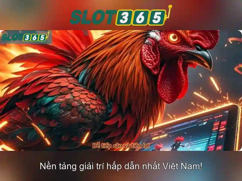 Giao diện nhà cái hoàn hảo