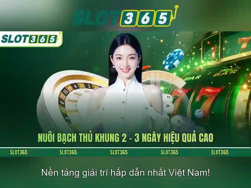Slot365 là gì và tại sao được ưa chuộng